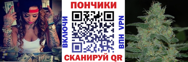 МЕФ Асино