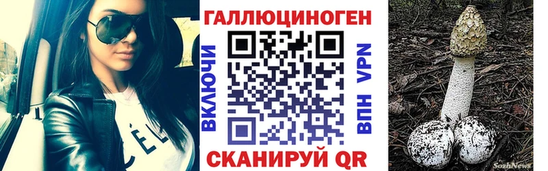 Псилоцибиновые грибы GOLDEN TEACHER Купить где Асино